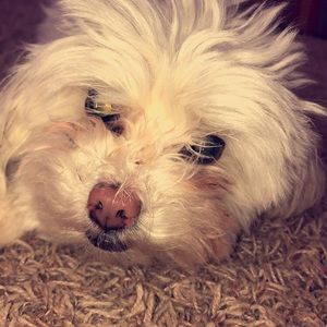 Meet your Posher, Olivia